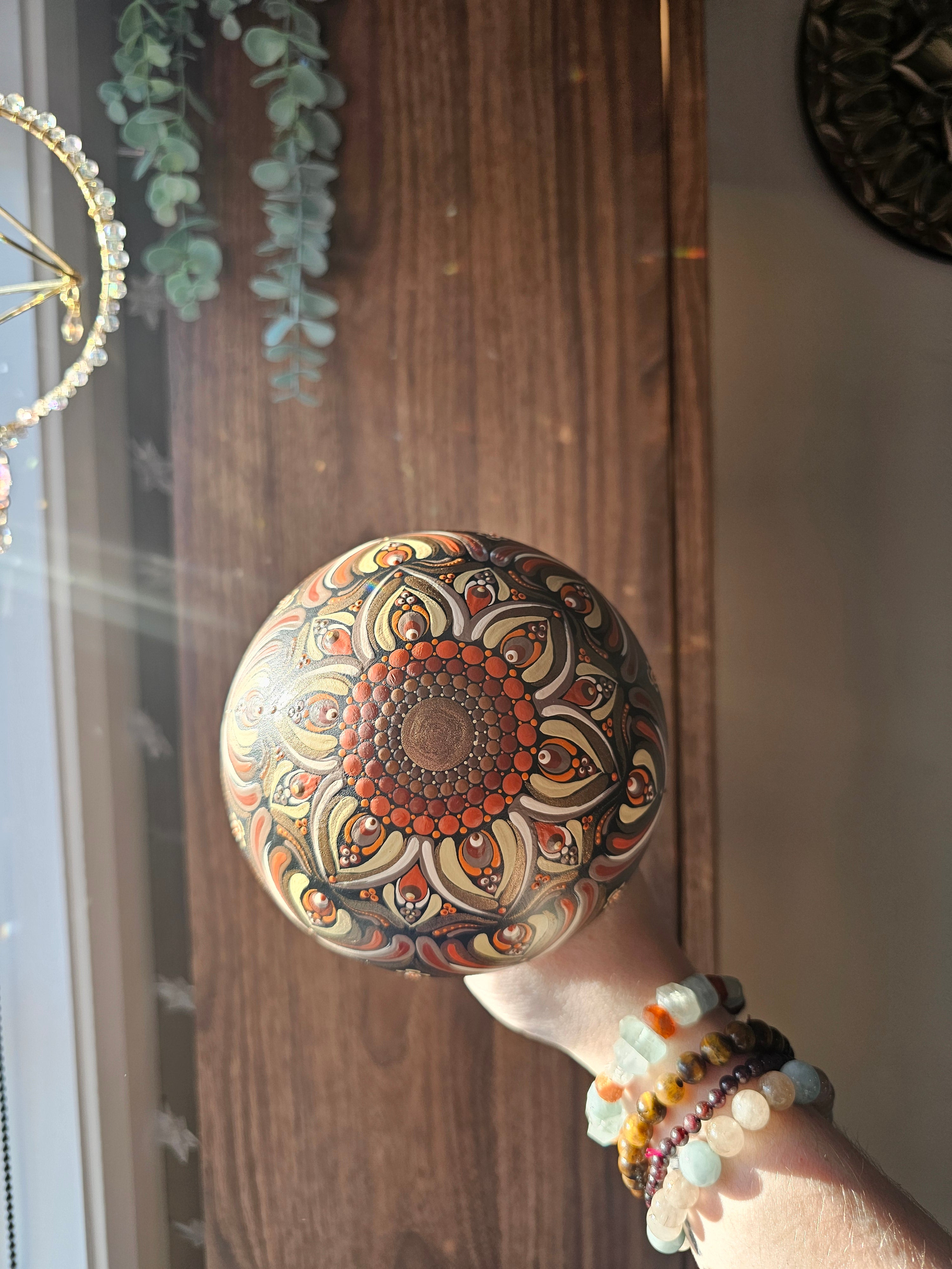 Very large mushroom 🧡🤎