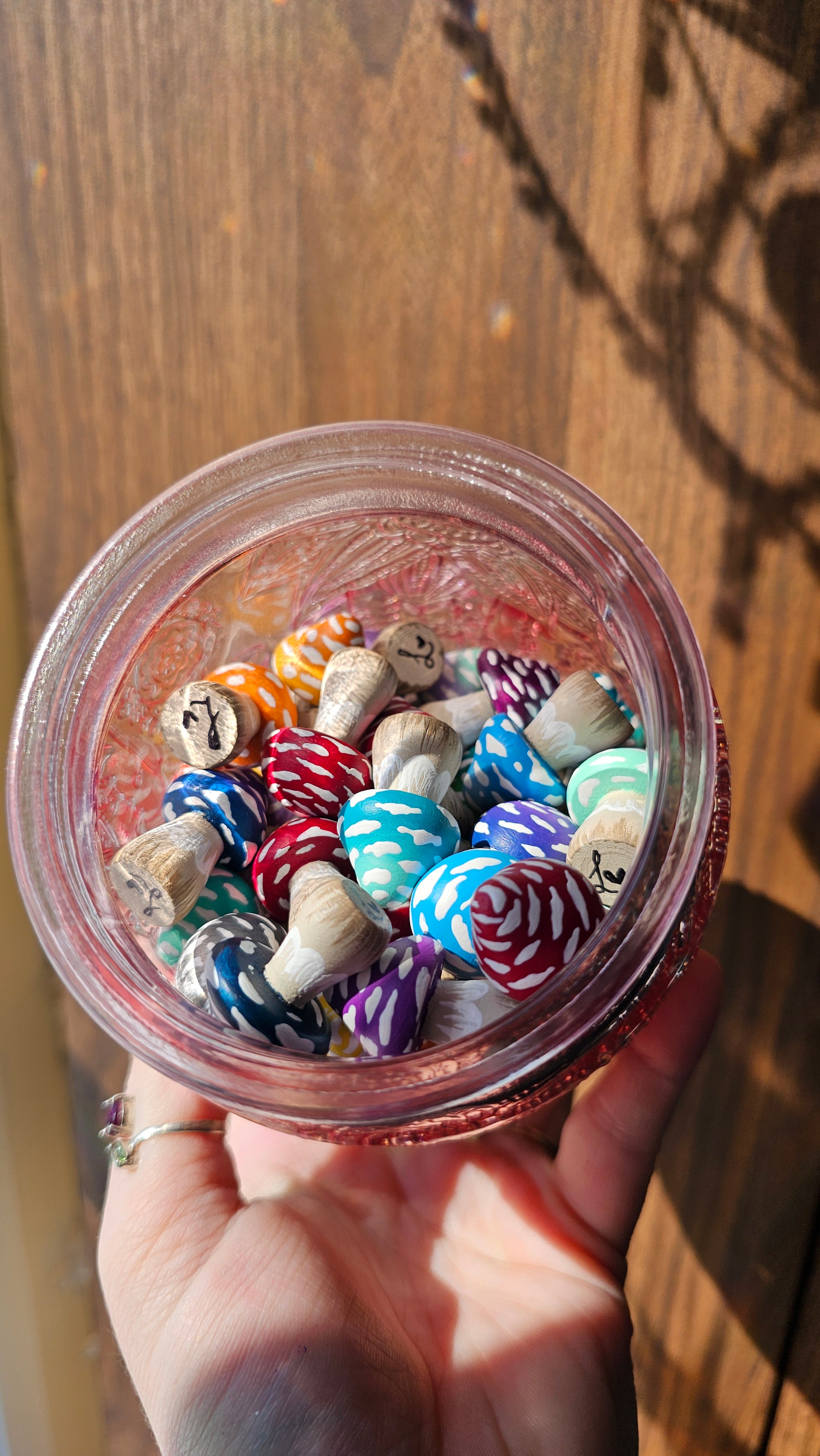 Minis champignons mystères